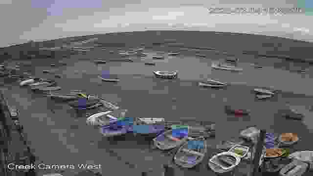 Bank of the River Burn in the village of Burnham Overy, UK (cam #2)