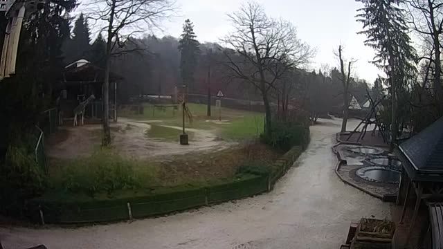 Giraffes in Ljubljana National Zoo, Slovenia