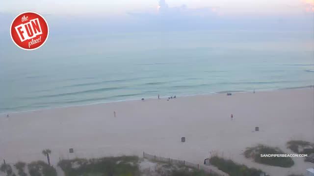 Sandpiper Beacon Beach Resort in Panama City, FL, USA