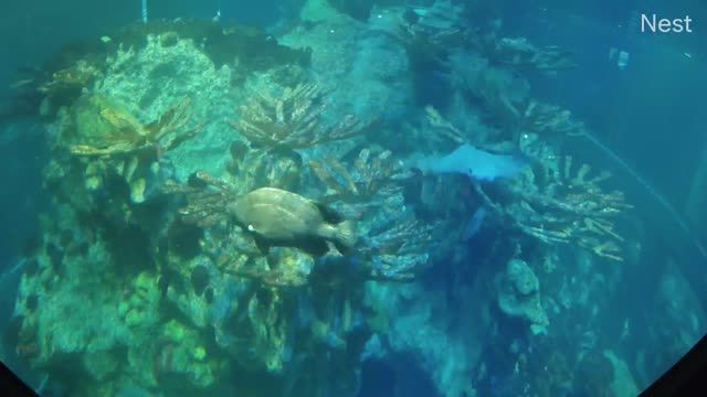 New England Aquarium in Boston, MA, USA
