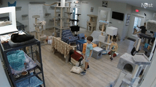 Five Acres Animal Shelter in St Charles, MO, USA