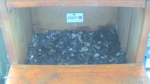 Nest box for a peregrine falcon in the area of Rimavska Sobota, Slovakia
