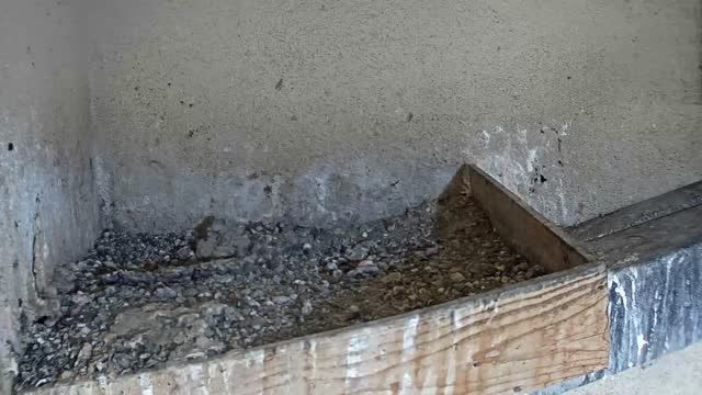 Falcon's nest in Slovakia