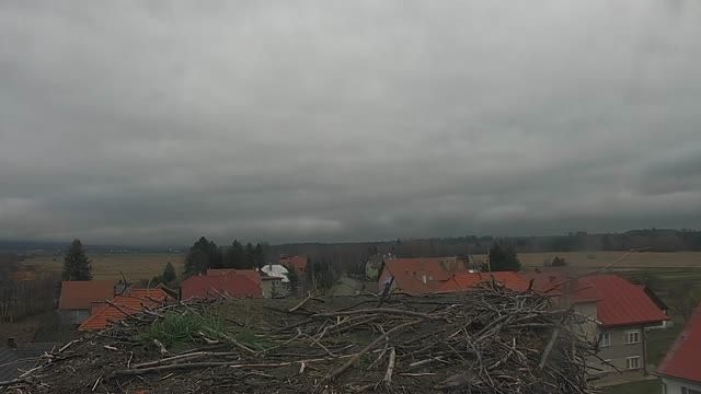 Stork's nest in Vavrisovo, Slovakia (cam #2)