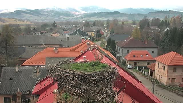 Stork's nest in Slovenska Lupca, Slovakia