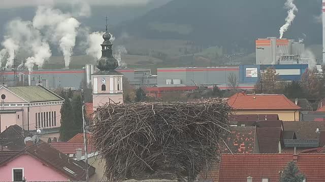Stork's nest in Liskova, Slovakia