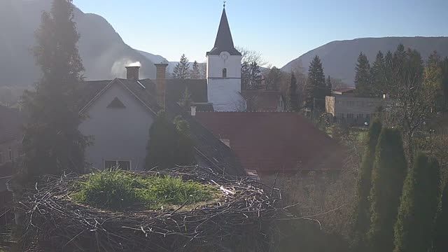 Stork's nest in Brzotín, Slovakia