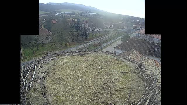 Stork's nest in Kluknava, Slovakia