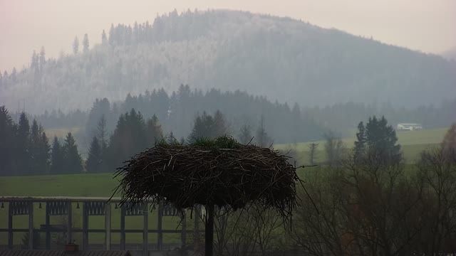Stork's nest in Rakova, Slovakia