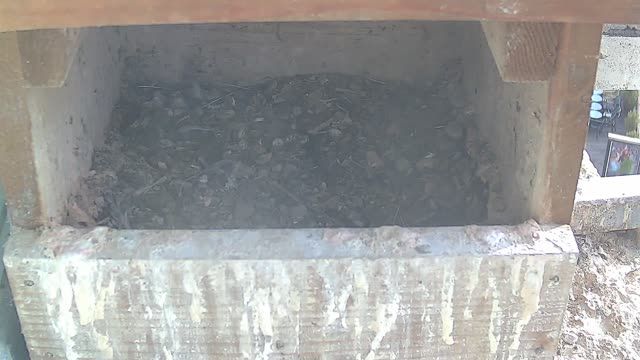 Kestrel nest box, Slovakia