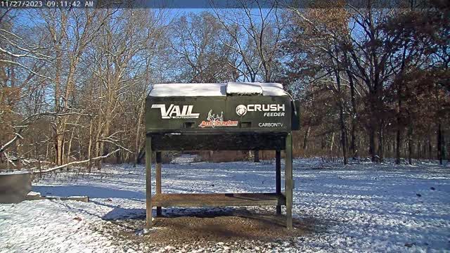 Deer feeder on Lee and Tiffany Lakosky's farm in Salem, IA, USA