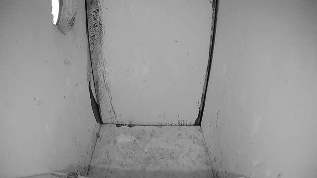 Tit nest box at Petting Zoo Blijde Wei in Rotterdam, Netherlands