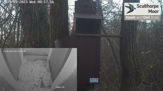 Owl nest box at Sculthorpe Moor Nature Reserve in Fakenham, UK