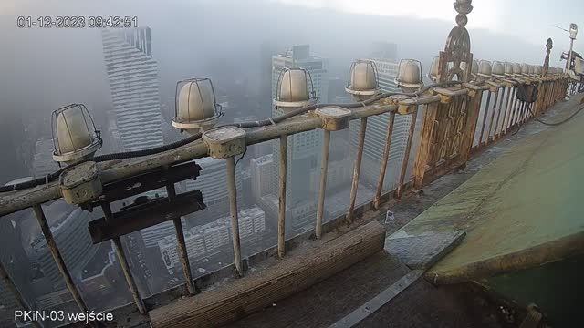 Falcon Habitat. Palace of Culture and Science in Warsaw, Poland (cam #3)
