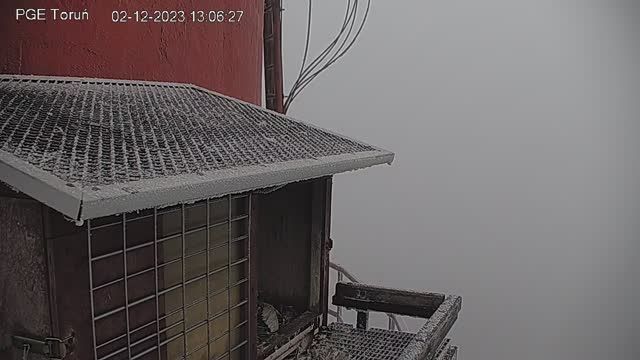 Falcon's Nest at EDF SA Torun, Poland