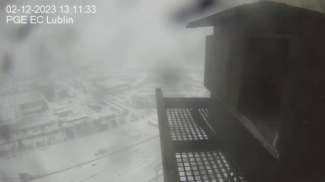 Falcon's nest at PGE Energia Ciepła heat and power plant in Krakow, Poland (cam #2)