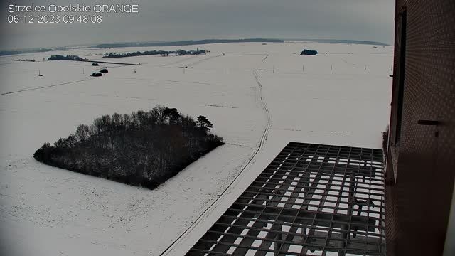 Falcon's nest on the telephone tower in Strzelce Opolskie, Poland