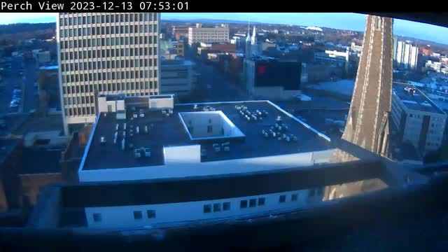 Falcon's nest on Genesee Street in Utica, NY, USA